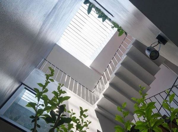 Giếng trời thường tiếp xúc trực tiếp với môi trường bên ngoài nên dễ bám bụi, rác, lá cây